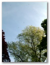 dscf0167.jpg